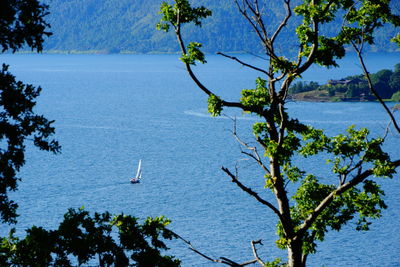 Scenic view of lake against blue sky