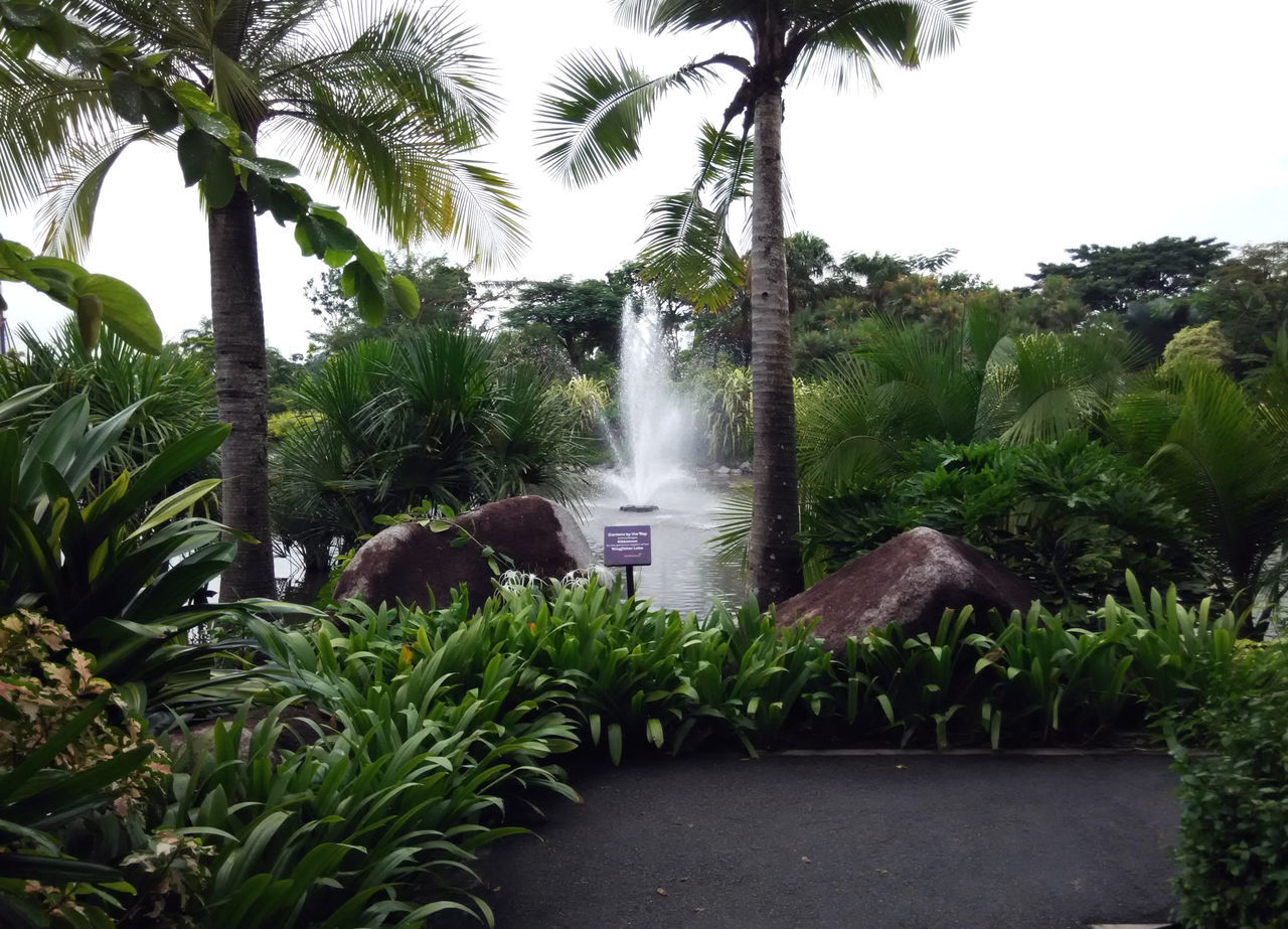 WATER FOUNTAIN IN PARK