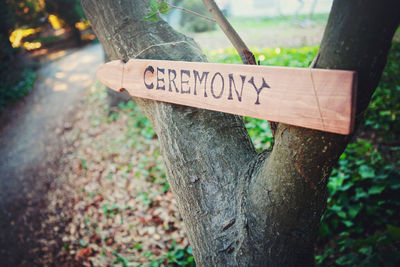 Close-up of signboard on tree trunk in forest