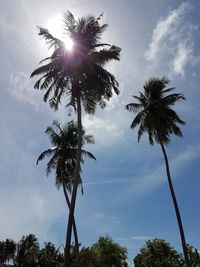 Low angle view of coconut palm trees against sky
