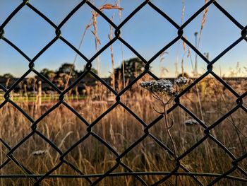 Full frame shot of chainlink fence against sky