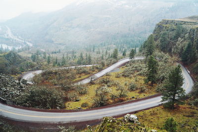 High angle view of road on tree mountain