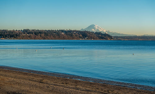 Scenic view of sea against clear blue sky