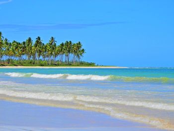 Scenic view of beach against clear blue sky