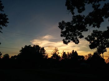 Silhouette of trees at sunset