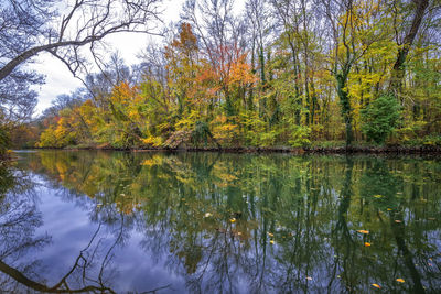 Scenic view of lake in forest during autumn