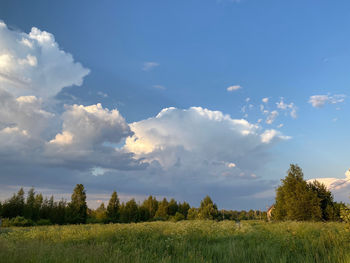 Scenic view of field against sky