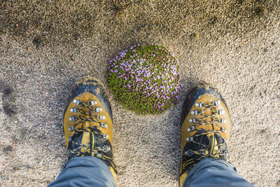 High angle view of mountaineer boots next to mossy floral mound.