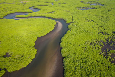 High angle view of river amidst green land