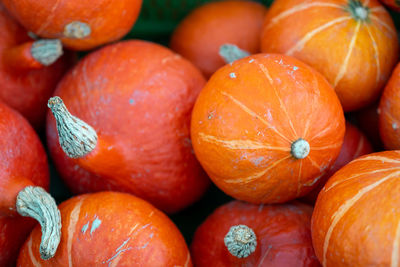 Full frame shot of pumpkins