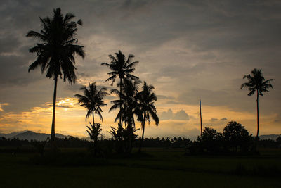 Silhouette palm trees on field against sky at sunset