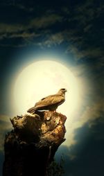 Close-up of illuminated light against sky