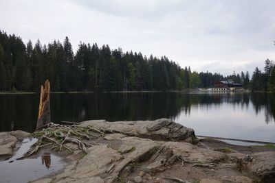 Scenic view of lake arber against overcast sky