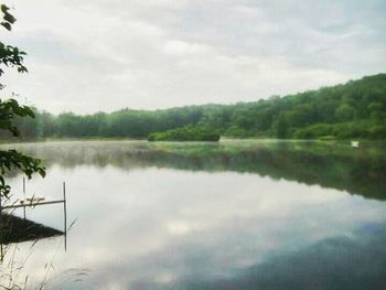 Reflection of trees in calm lake