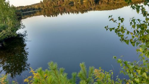 Reflection of trees in lake