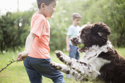 Boy and dog playing with brother standing in back yard