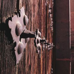 Close-up of wooden door