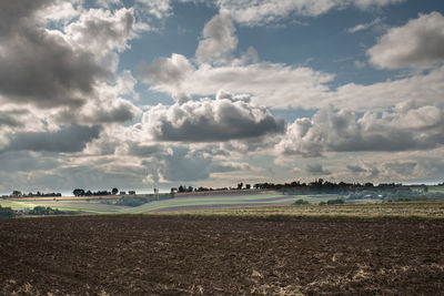 Scenic view of agricultural field against sky