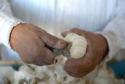 Close-up of man hand holding garlic