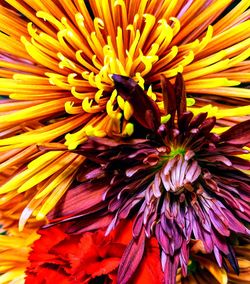 Full frame shot of yellow flower
