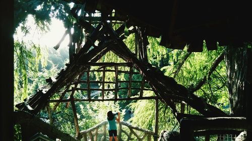 View of people on tree trunk