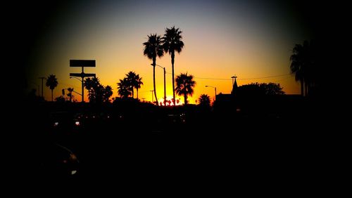 Silhouette palm trees at sunset