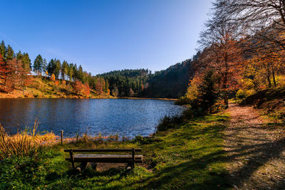 Scenic view of lake by trees against clear sky