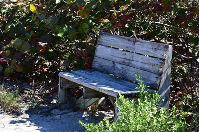 Plants growing on field