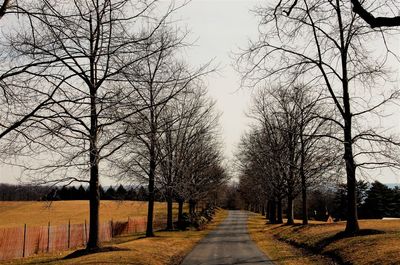 Road amidst bare trees on field against sky