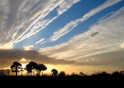 Silhouette trees on field against sky at sunset