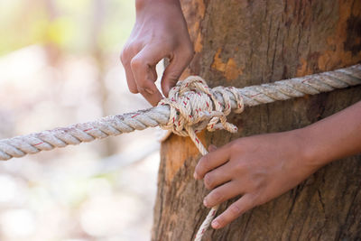 Close-up of hand tying rope on tree trunk