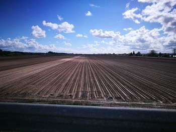 Agricultural field against sky