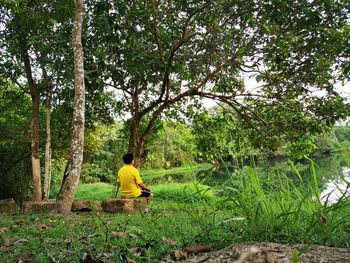 Rear view of man sitting on land in forest