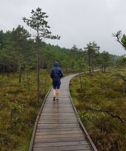 Rear view of man walking on boardwalk in forest