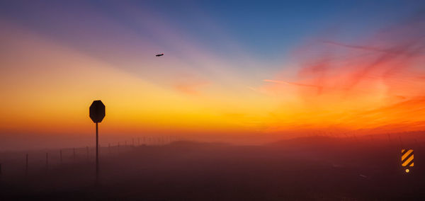 Silhouette of bird flying against orange sky