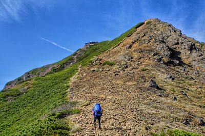 Rear view of man walking on mountain against blue sky