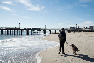 Rear view of man walking with dog at beach