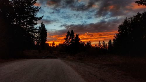 Silhouette trees against sky during sunset