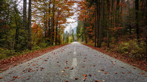 Road amidst trees in forest during autumn