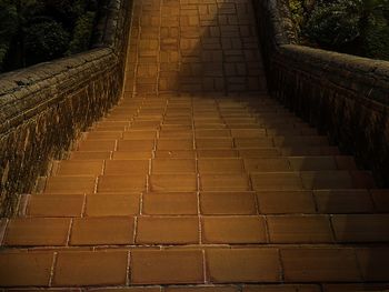 Staircase by tree