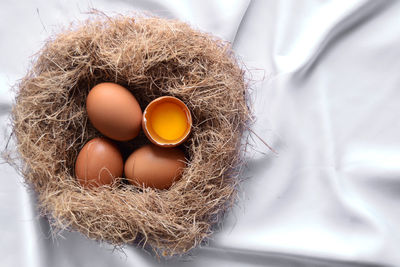High angle view of eggs in nest