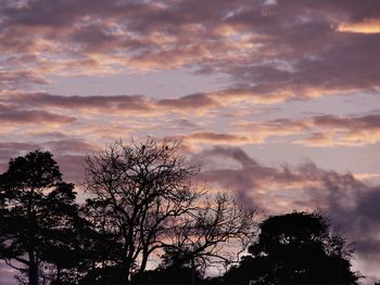 Low angle view of silhouette trees against sky at sunset