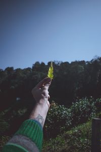 Midsection of person holding ice cream against sky