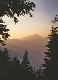 Silhouette of trees and mountains at sunset