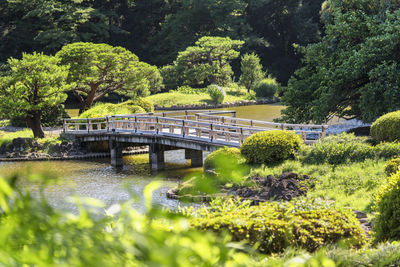 Bridge over river against trees