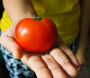 Close-up of hand holding apple