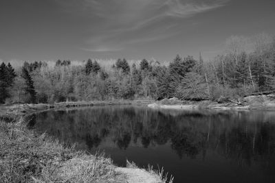 Scenic view of lake by trees against sky