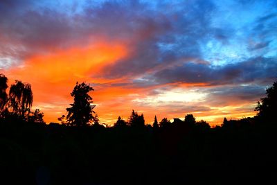 Silhouette trees against dramatic sky during sunset