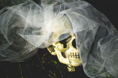 Close-up of human skull and veil on field at night