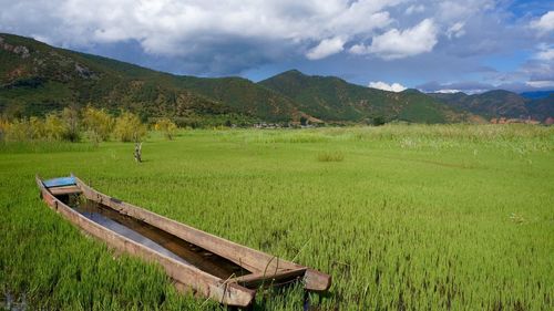 Scenic view of grassy field against cloudy sky